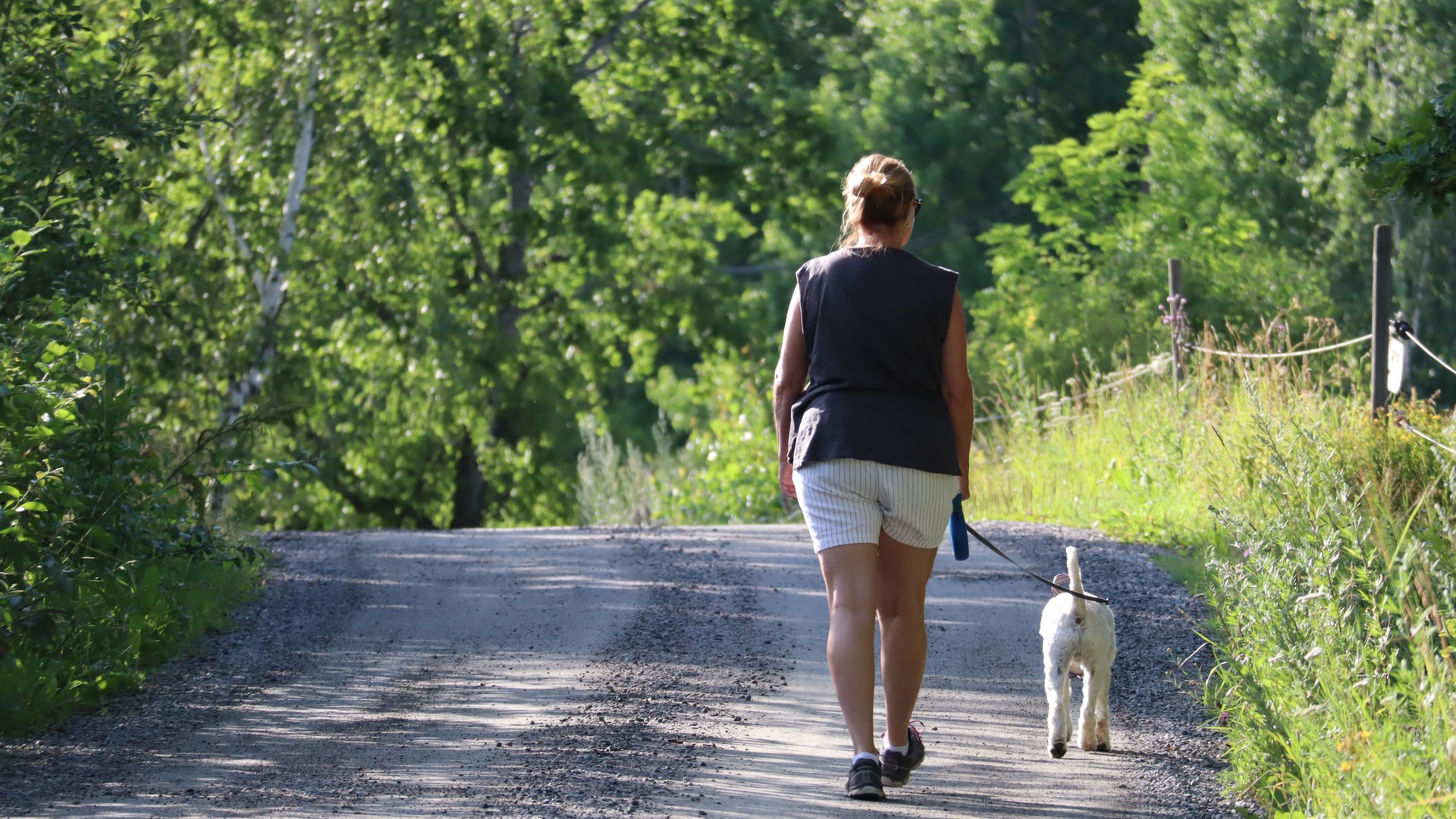 kvinna går med en hund längs en landsväg